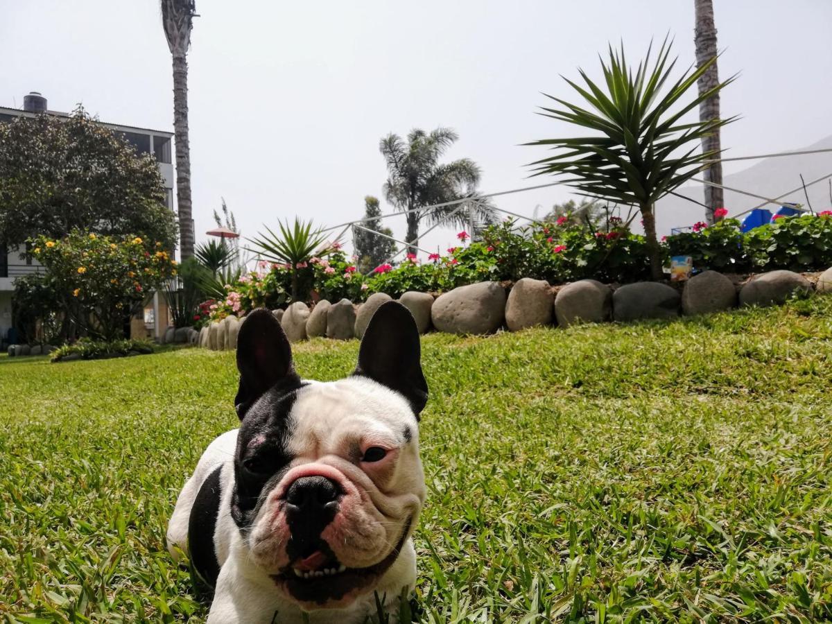 Mi Pequeno Club Hotel Lima Bagian luar foto